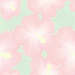 hibiscas_0003.jpg