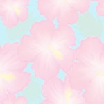 hibiscas_0004.jpg
