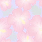 hibiscas_0005.jpg