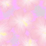 hibiscas_0006.jpg