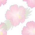 hibiscas_008.jpg