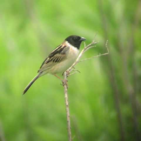 �R�W������