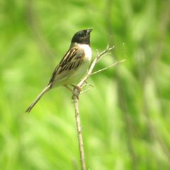 �R�W������