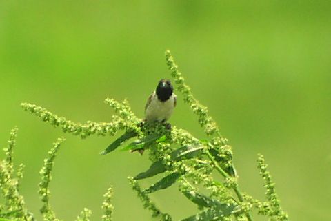 �R�W������