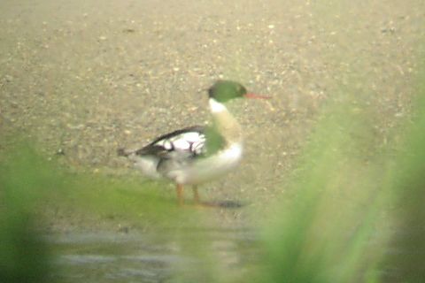 �E�~�A�C�T