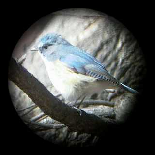 �����r�^�L