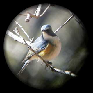 �����r�^�L