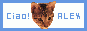   Ciao!ALEX HP
