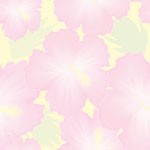hibiscas_0002.jpg
