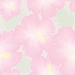 hibiscas_0007.jpg